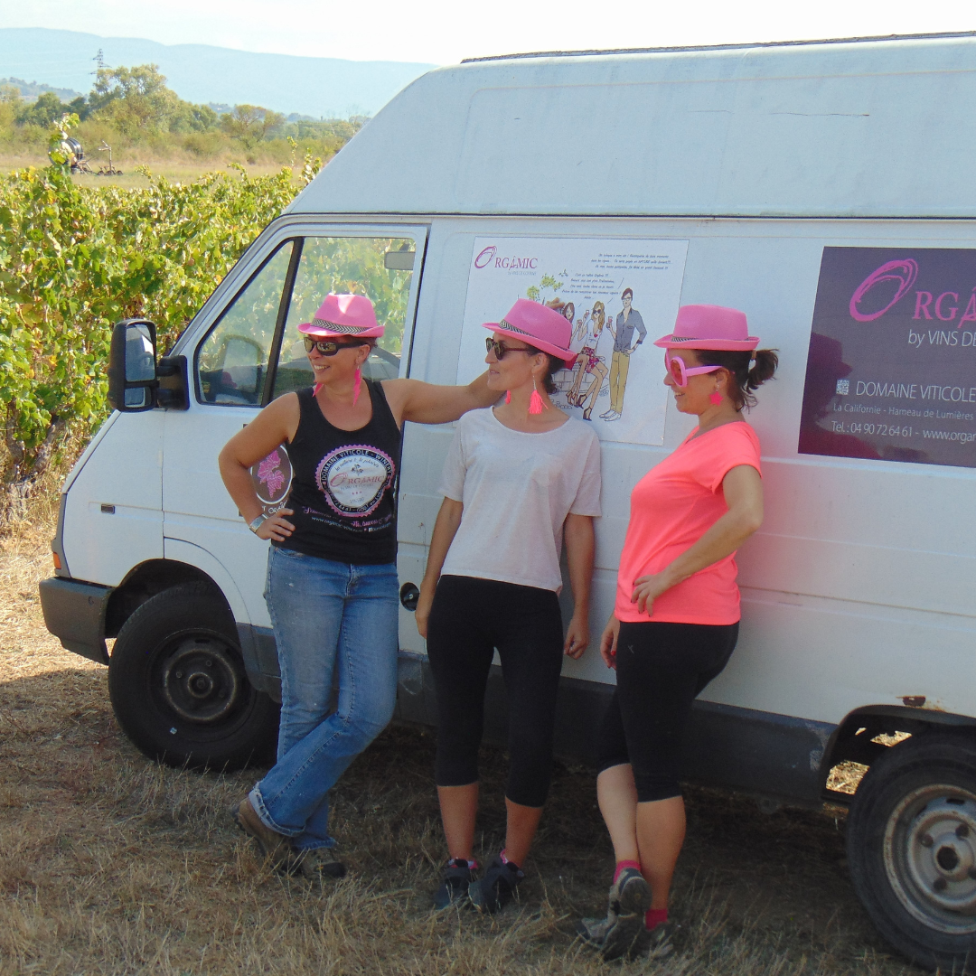 vendanges chez vins de copains à Goult en Luberon