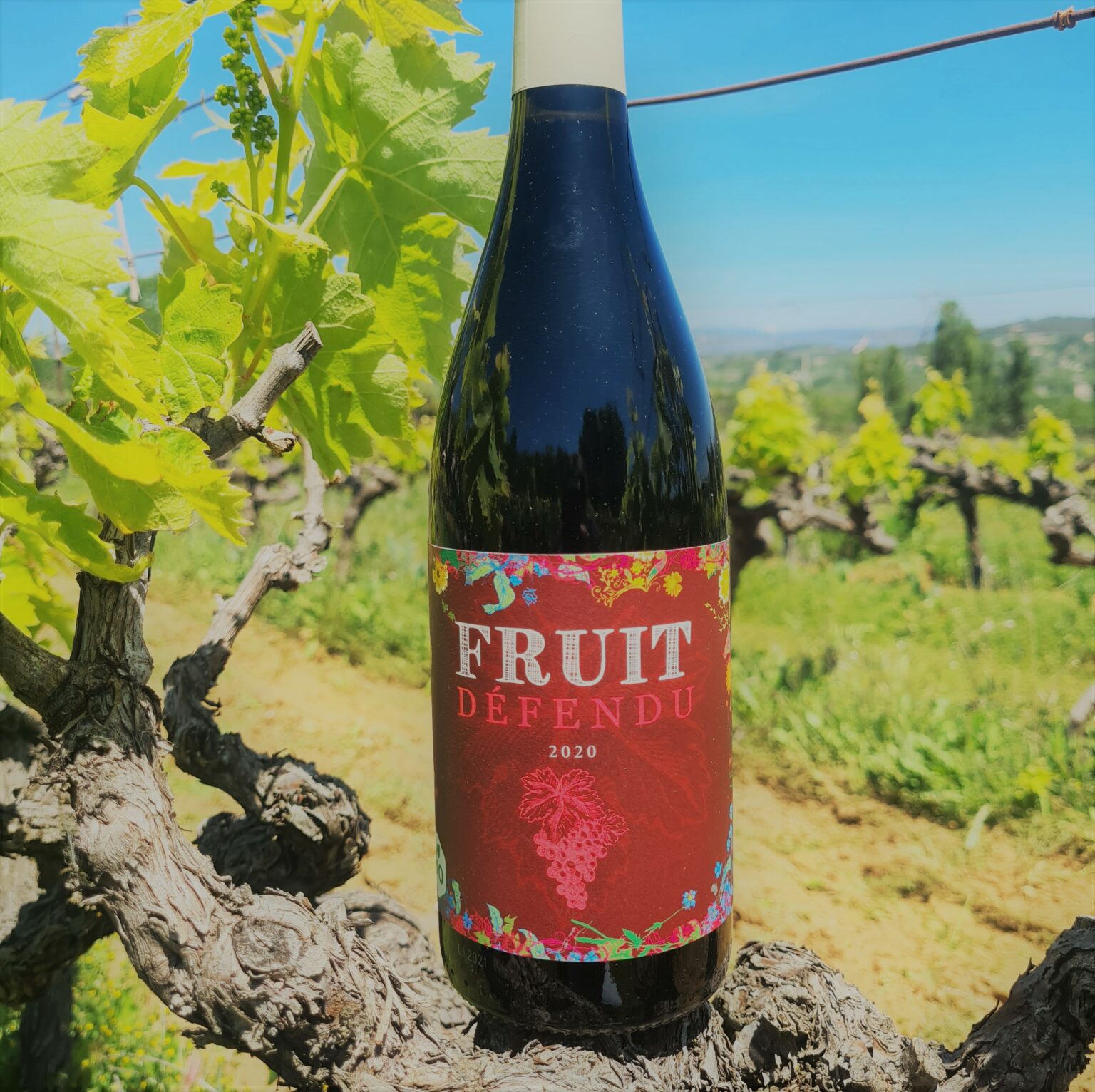 Fruit défendu 2020 (x6) Rouge BIO IGP Vaucluse, cépages Carignan