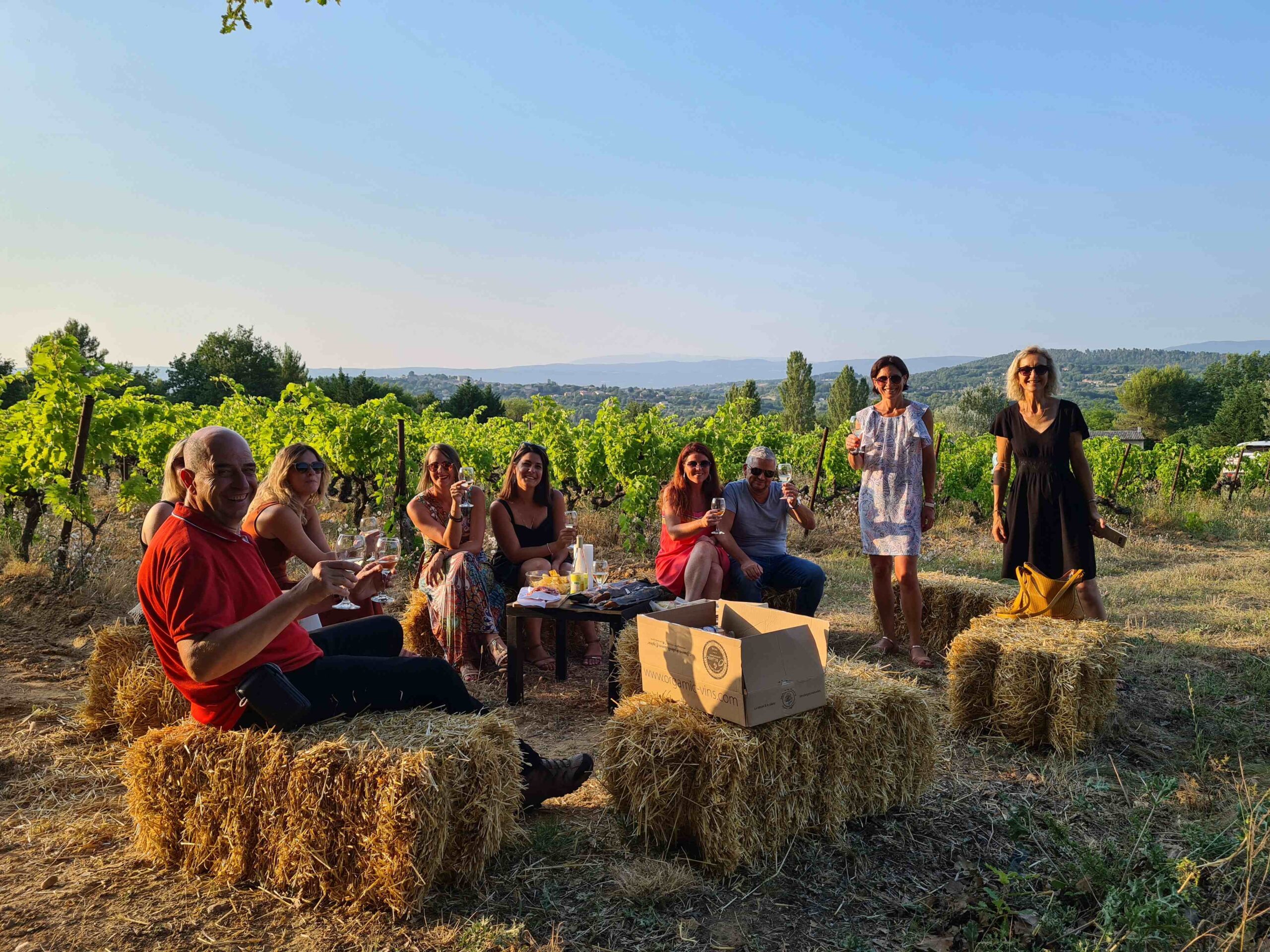 Vins BIO en Luberon Ventoux, domaine viticole Orgasmic by Vins de Copains à Goult 5 Les copains d'Orgâmic font apéro au bord des vignes