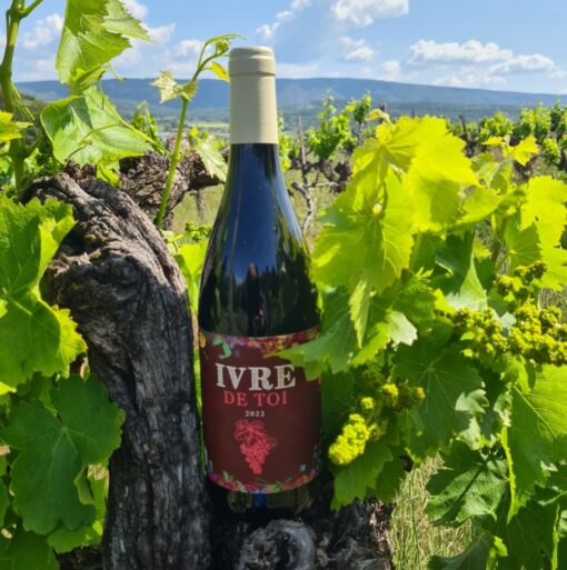 Ivre de toi vin bio à Goult