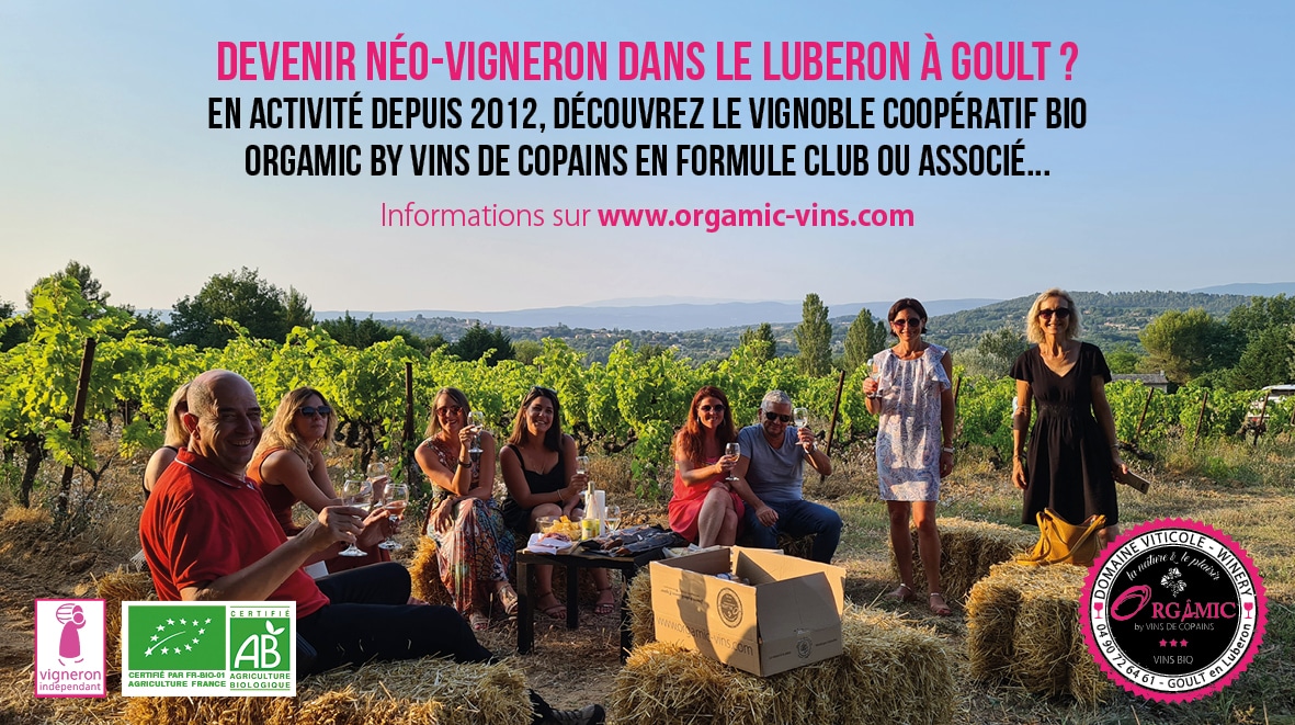 Vins BIO en Luberon, domaine viticole Orgasmic by Vins de Copains 1 Adoption de pieds de vignes bio ou devenir associé